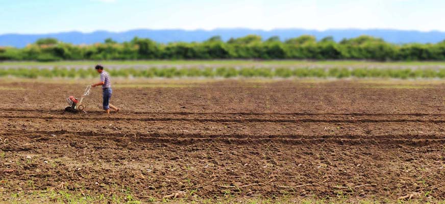 豐田警察官吏派出所